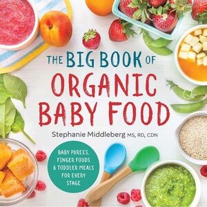 The Big Book of Organic Baby Food